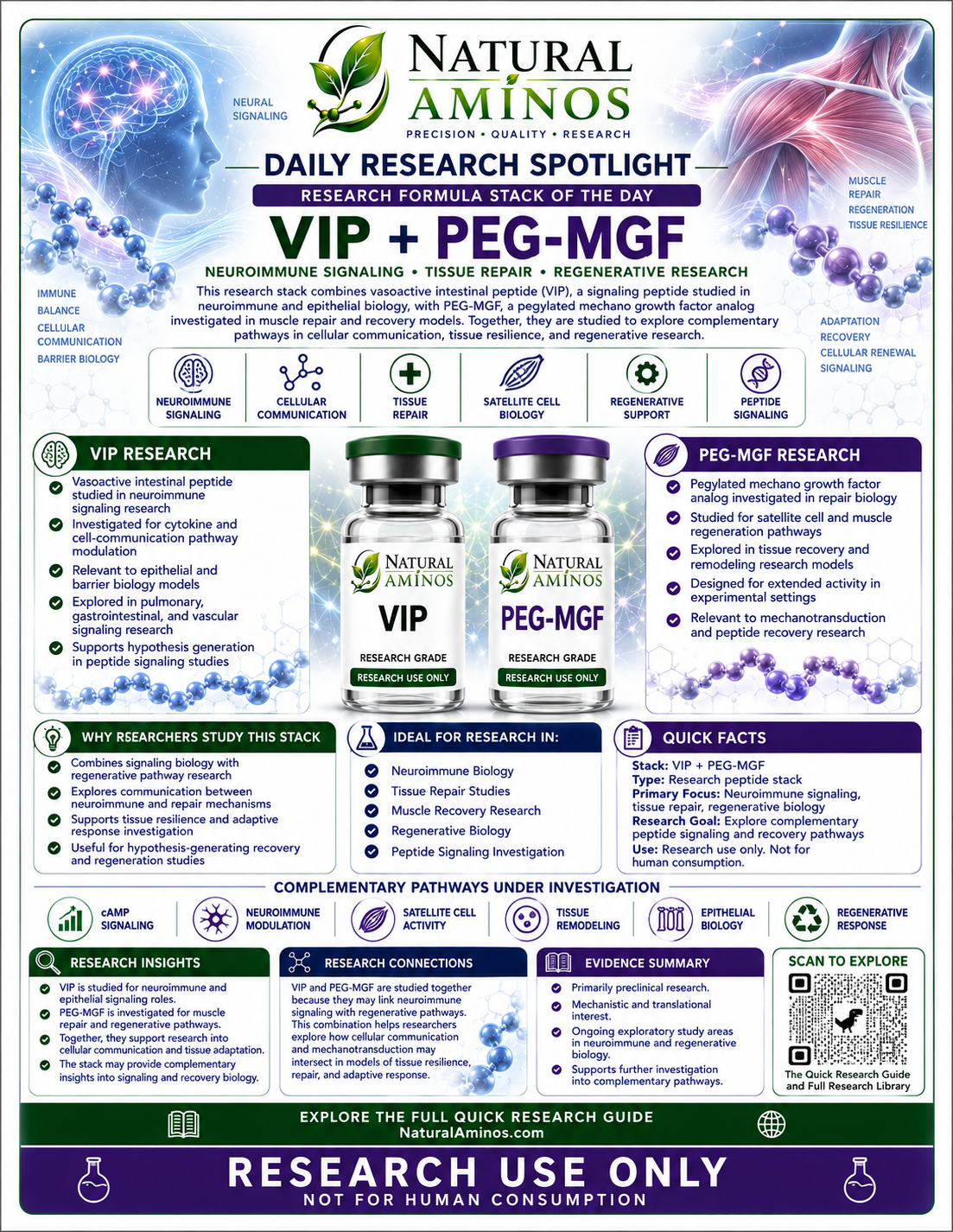 VIP + PEG-MGF research graphic